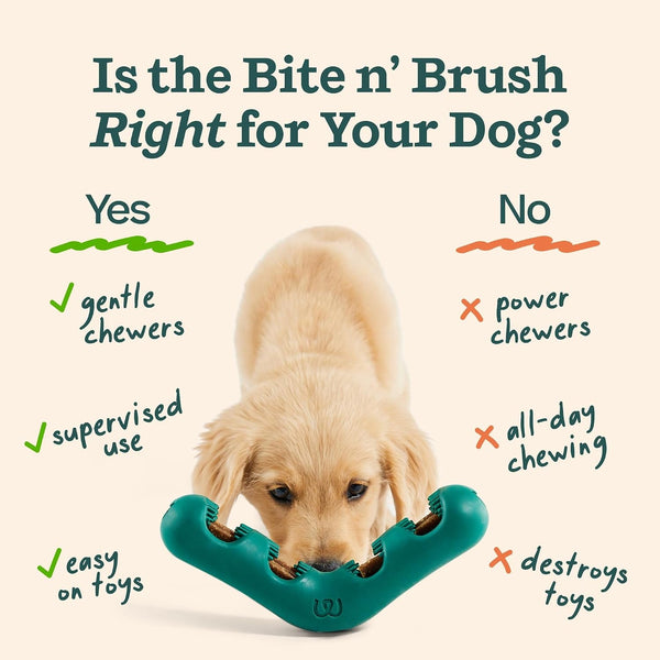 WOOF Bite N' Brush Dog Dental Chew Toy for Small Dogs 10-25 Lbs | Dog Toothbrush Toy, V-Shaped Design, Reusable, Easy to Clean, Dental Dog Toy4