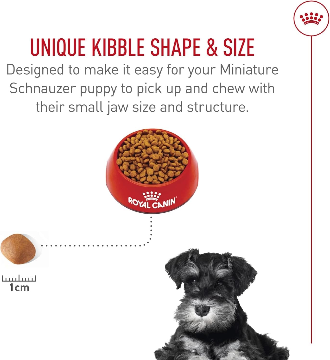 royal-canin-breed-health-nutrition-miniature-schnauzer-puppy-dry-dog-food-2-5-lb-bag