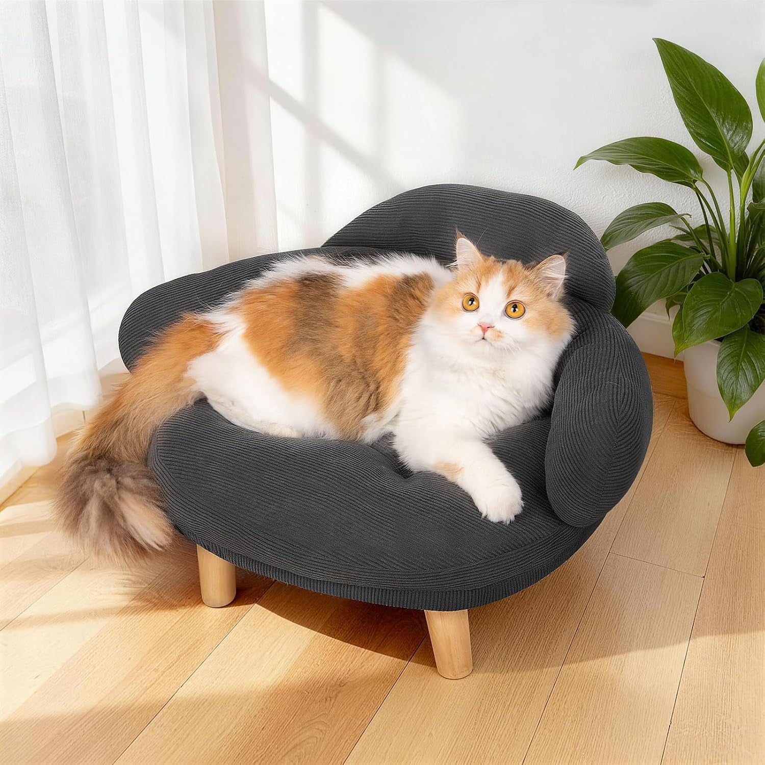 cat-sofa-furniture-style-pet-bed-with-removable-cotton-velvet-cover-solid-pine-wood-legs-for-cats-and-small-dogs-white