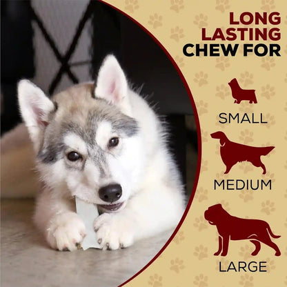 Real Hide All Natural Dog Chew Treats Rawhide Chips 1 Pound | All Natural Chew Treats, Premium Rawhide Chips, Grass Fed Free Range Beef Hide, Long Lasting, for All Dog Sizes6