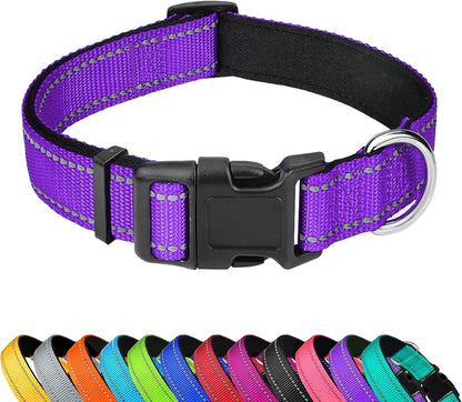 Reflective Dog Collar, Adjustable Soft Neoprene Padded,Teal,M | Breathable Nylon for Medium Dogs,Tear-Resistant Webbing,Chafe‑Free on Walks and Hikes,Metal D-Ring,Night Safety26