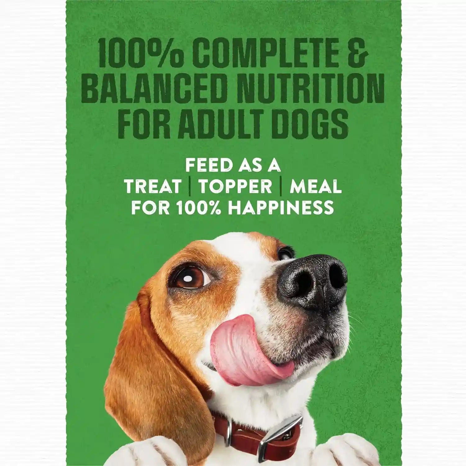 purina-moist-and-meaty-with-real-chicken-recipe-soft-dog-food-pouches-36-ct-box