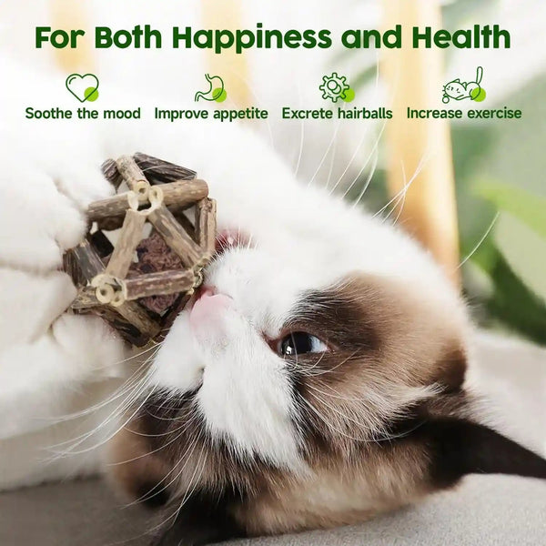 Potaroma Catnip Toys, 3Pcs Cat Toys Natural Silvervine Stick Cage Balls & Bell Ball for Indoor Cats, Kitten Cleaning Teeth Molar Matatabi Cat Chew Toy All Breeds | Kitten Cleaning Teeth Molar Matatabi Cat Chew Toy for Indoor Cats All Breeds with Bell3