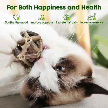 Potaroma Catnip Toys, 3Pcs Cat Toys Natural Silvervine Stick Cage Balls & Bell Ball for Indoor Cats, Kitten Cleaning Teeth Molar Matatabi Cat Chew Toy All Breeds | Kitten Cleaning Teeth Molar Matatabi Cat Chew Toy for Indoor Cats All Breeds with Bell3