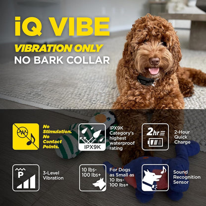Dogtra Iq Vibe Vibration Only No Bark Collar: 4X Stronger HPP Vibration, IPX9K Waterproof, Precision Sensor, Rechargeable2