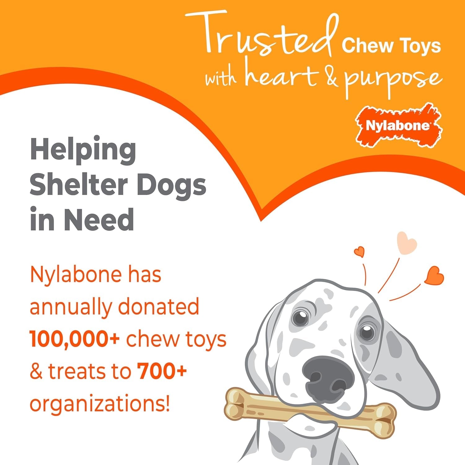 nylabone-power-chew-dental-groove-bone-dog-chew-toy-flavor-medley-small-teeth-cleaning-textures-durable-dog-toys-for-aggressive-chewers-discourages-destructive-chewing-for-dogs-up-to-25-lbs