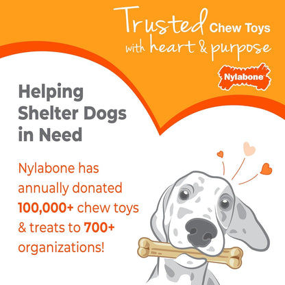 Nylabone Power Chew Dental Groove Bone Dog Chew Toy, Flavor Medley, Small | Teeth-Cleaning Textures, Durable Dog Toys for Aggressive Chewers, Discourages Destructive Chewing, for Dogs up to 25 Lbs9