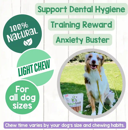 Nature Gnaws USA Turkey Tendons for Dogs (4Oz) - Delicious Grain Free Reward Snack for Small, Medium & Large Breeds - Premium Natural Dog Chew Treats4