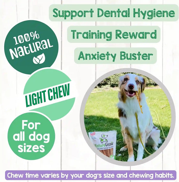 Nature Gnaws USA Turkey Tendons for Dogs (4Oz) - Delicious Grain Free Reward Snack for Small, Medium & Large Breeds - Premium Natural Dog Chew Treats4