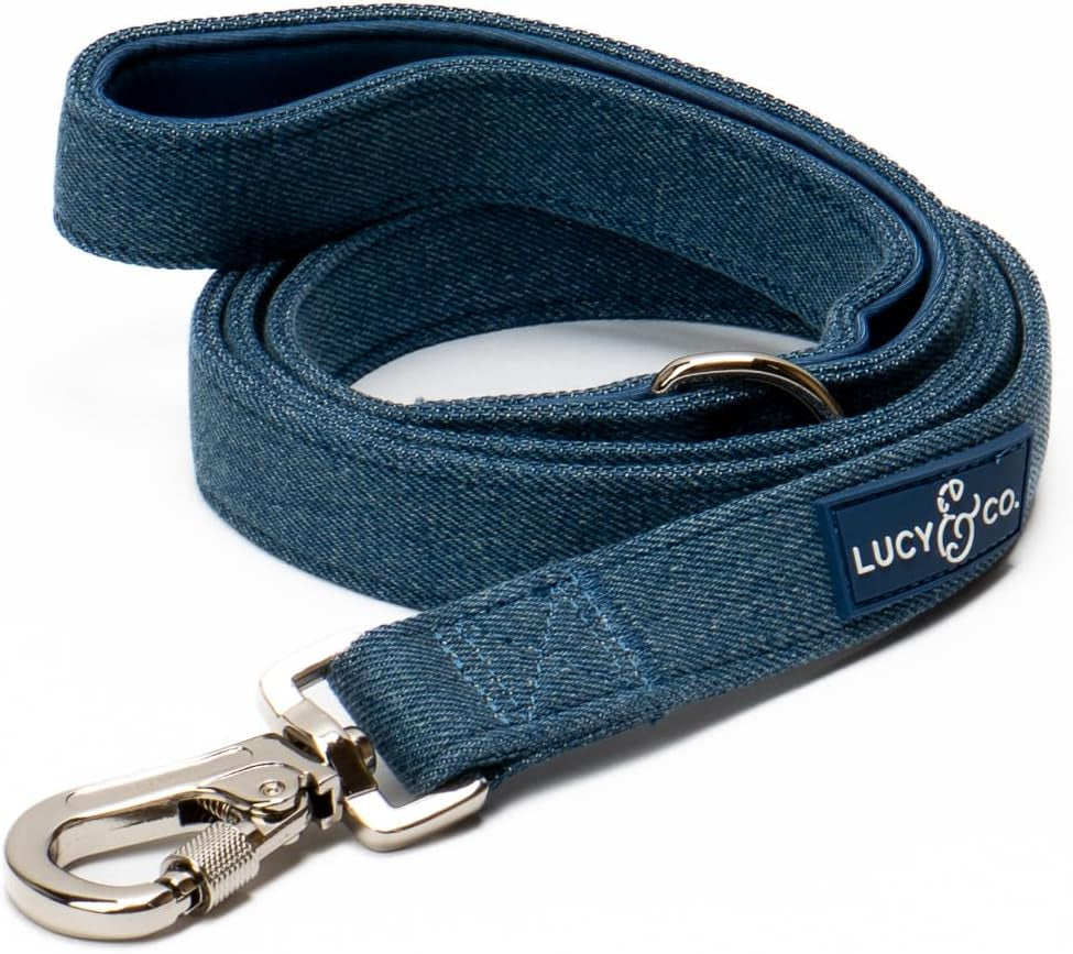 lucy-co-cheery-cherries-designer-dog-leash-for-small-to-large-dogs-padded-handle-for-comfort-large-red-gingham-cherries-5-foot