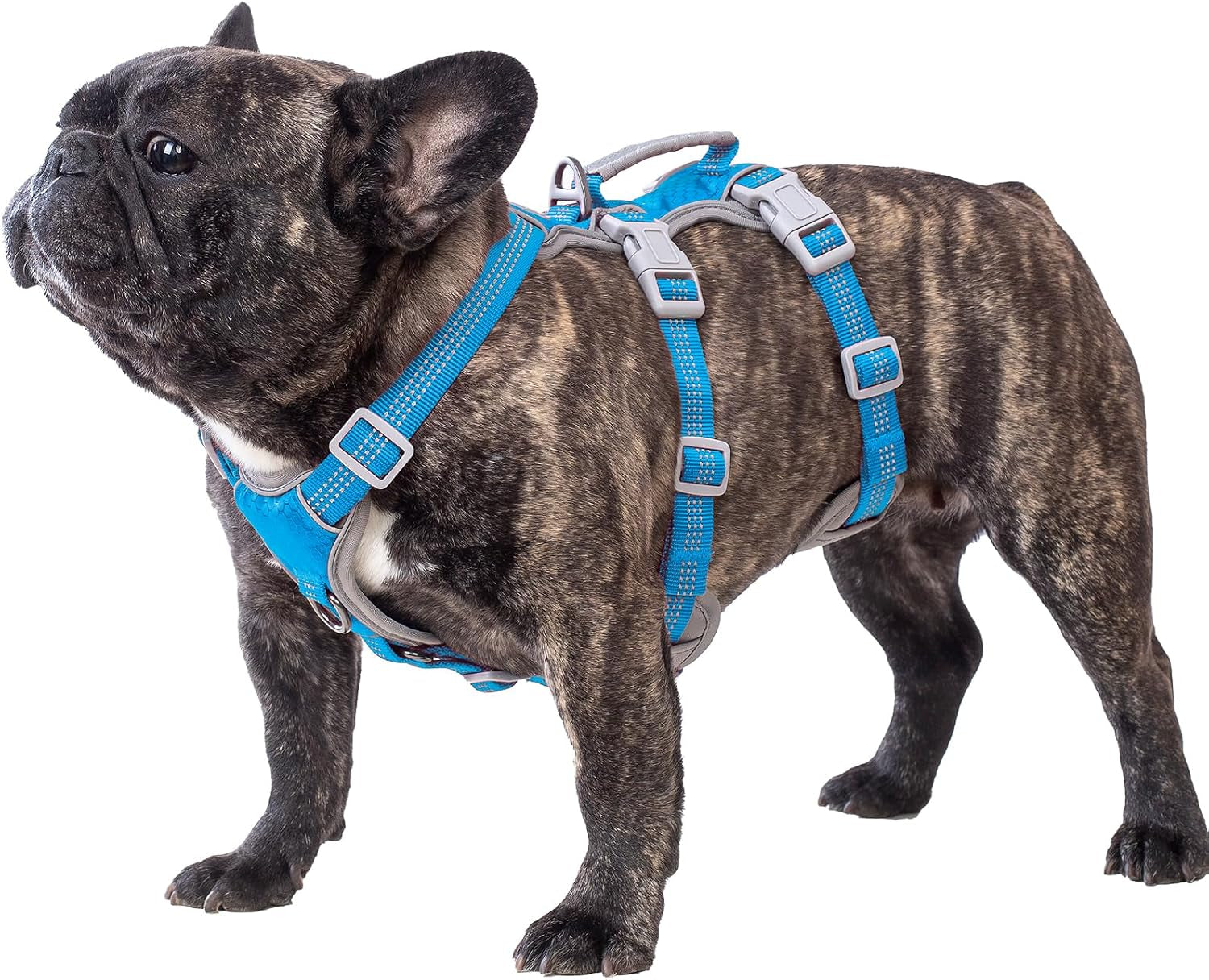 huntboo-escape-proof-dog-harness-escape-artist-harness-reflective-harness-with-padded-handle-breathable-durable-adjustable-vest-for-medium-dogs-walking-training-and-running-gear-blue-m