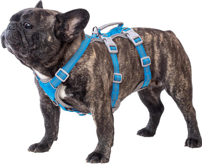 Huntboo Escape Proof Dog Harness, Escape Artist Harness, Reflective Harness with Padded Handle, Breathable, Durable, Adjustable Vest for Medium Dogs Walking, Training, and Running Gear (Blue, M)1