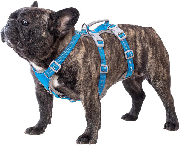 Huntboo Escape Proof Dog Harness, Escape Artist Harness, Reflective Harness with Padded Handle, Breathable, Durable, Adjustable Vest for Medium Dogs Walking, Training, and Running Gear (Blue, M)1