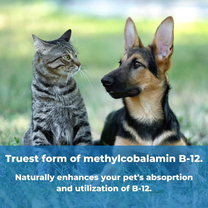 Pet Factor B-12 | Vitamin B-12 in Methylcobalamin Form | Popular in Treatment of EPI in Dogs 180 Capsules4