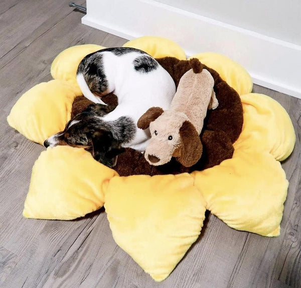 TONBO Soft Plush Small Cute and Cozy Nature Dog Cat Bed, Washer and Dryer Friendly (Sunflower)6