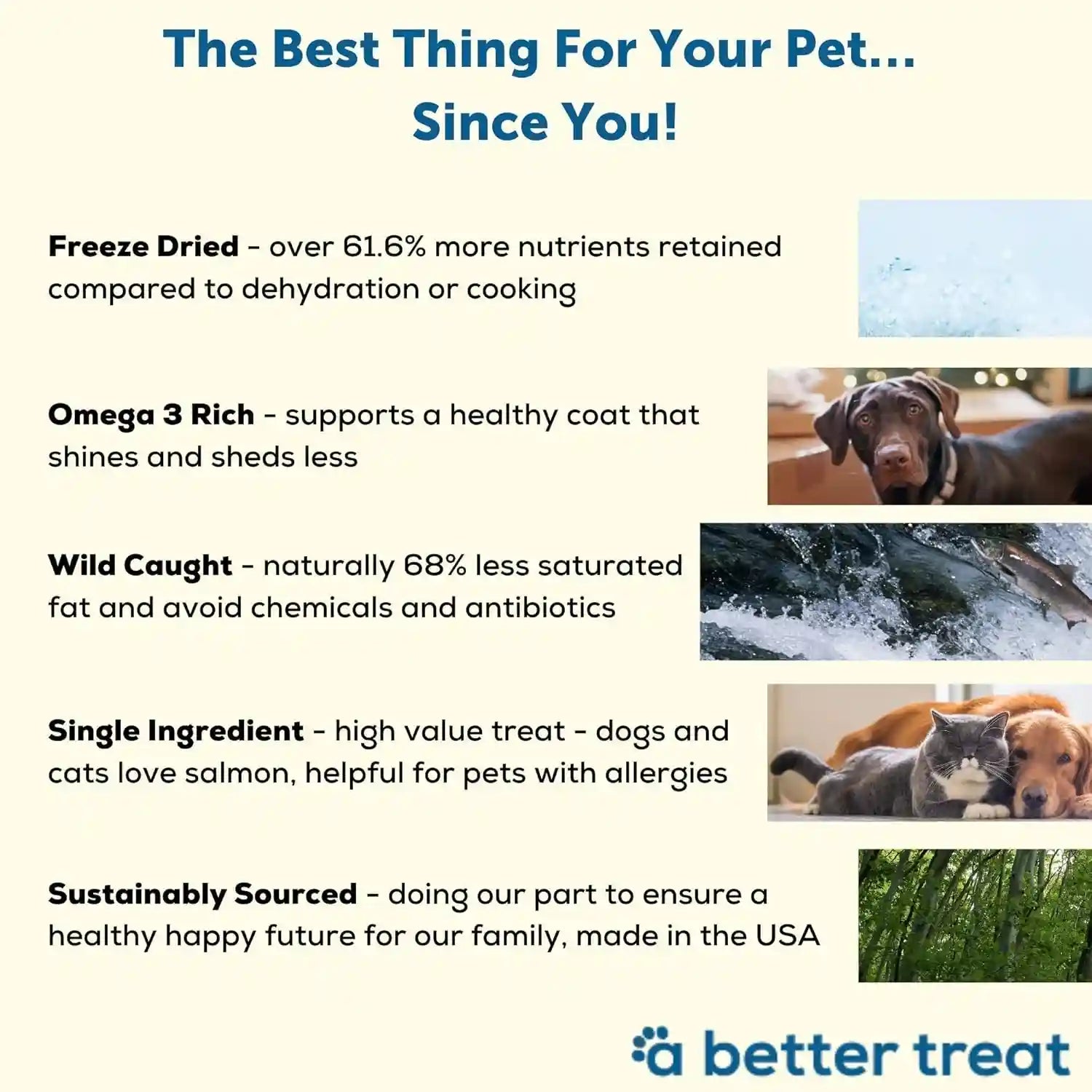 a-better-treat-freeze-dried-salmon-dog-treats-wild-caught-single-ingredient-natural-high-value-gluten-free-grain-free-high-protein-diabetic-friendly-natural-fish-oil-made-in-the-usa