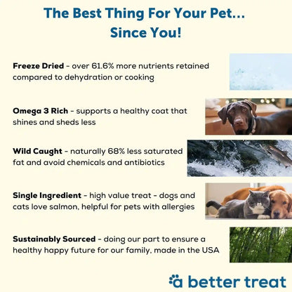 A Better Treat – Freeze Dried Salmon Dog Treats, Wild Caught, Single Ingredient | Natural High Value | Gluten Free, Grain Free, High Protein, Diabetic Friendly | Natural Fish Oil | Made in the USA3