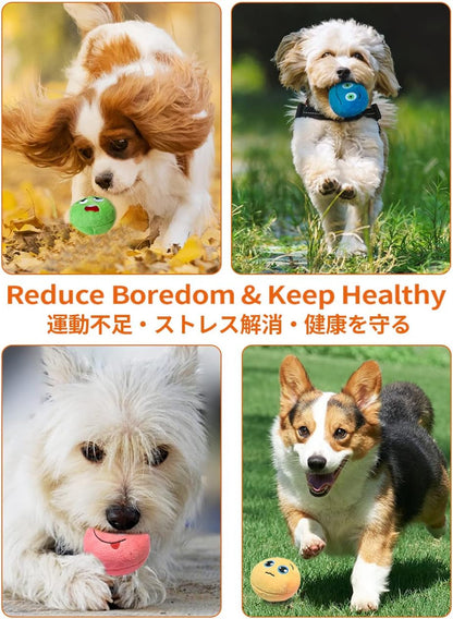 SCHITEC Squeaky Dog Toys, [6 Pack] Soft Stuffed Plush Balls with Squeakers, Interactive Fetch Play for Puppy Small Pets7