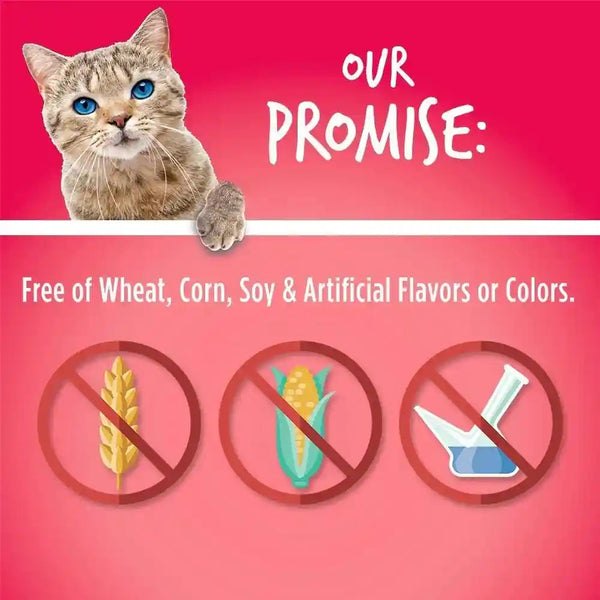 Fruitables Cat Bundle: Salmon & Cranberry + Tuna & Pumpkin - 2.5 Oz Each, Low Calorie, Real Ingredients, Superfoods7