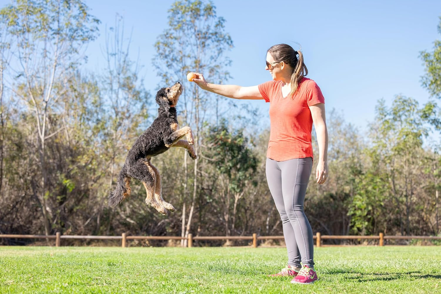 chuckit-birthday-fetch-ball-medium-2-5-inch-diameter-for-dogs-20-60-lbs-pack-of-1