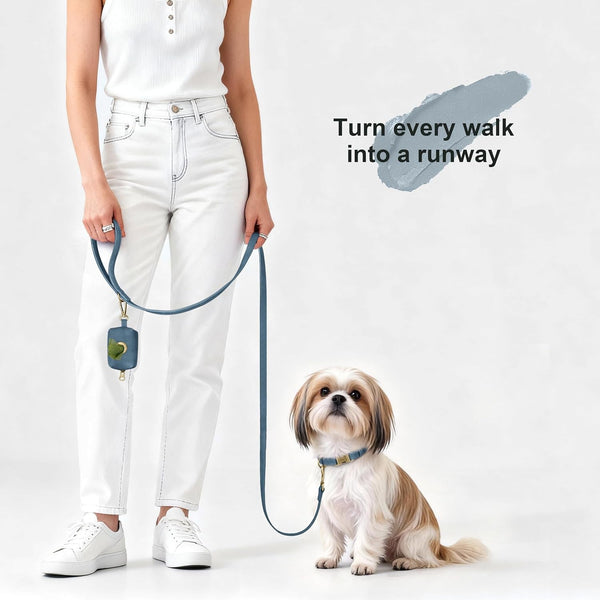 Didog Soft PU Leather Dog Collar for Small Dogs, Quick Release, Blue S | Comfort for Daily Walking Backyard, Stylish for Photography, Metal Buckle & D-Ring, Easy Wipe Clean, Adjustable Neck 10-15"4