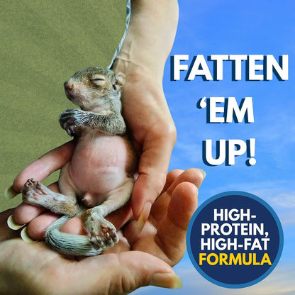 Milk Replacer - Healthy Powdered Formula Ideal for Baby Squirrels, Rabbits, Opossums, Raccoons | 100% Instantized for Mixing Digestible Proteins | 8.8Oz (Specialty Milk Replacer 8.8 Oz.)7