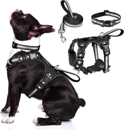 WINSEE Pet Harness Collar and Leash Set, All-In-One Reflective Dog Harness No Pull with Adjustable Buckles for Puppies, Small, Medium, Large, and Extra-Large Dogs (Large, Pink)20
