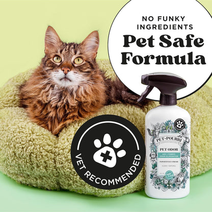 Pet-Pourri Pawsitively Fresh Pet Odor Deodorizer Spray, 16 Fl Oz, up to 800 Uses, Air + Fabric Odor Remover with Essential Oils & Plant Based Ingredients, Vet Recommended, Pineapple, Jasmine & Pear5