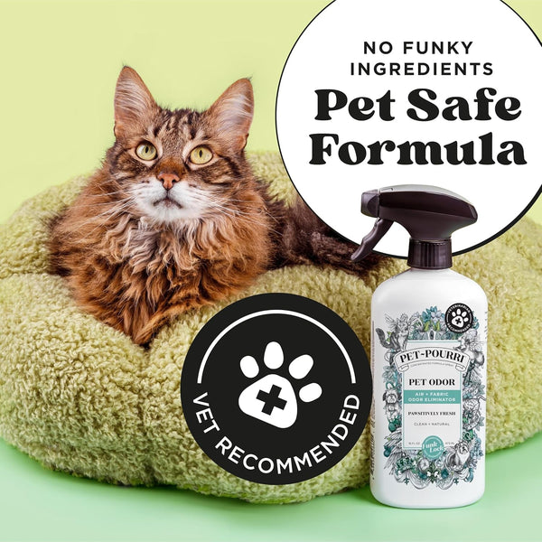 Pet-Pourri Pawsitively Fresh Pet Odor Deodorizer Spray, 16 Fl Oz, up to 800 Uses, Air + Fabric Odor Remover with Essential Oils & Plant Based Ingredients, Vet Recommended, Pineapple, Jasmine & Pear5