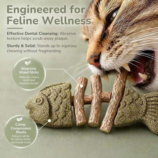 Sterling Whiskers Cat Chew Stick, Catnip & Silvervine Fishbone Toy, 2 PCS | Natural Catnip & Silvervine, Fishbone Texture, Chewing Enrichment, Oral Care Support, Indoor Cat Toy7