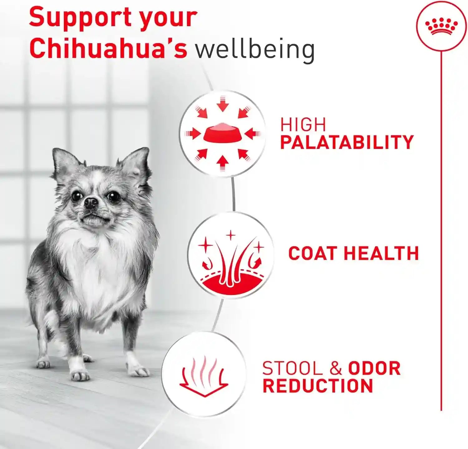 royal-canin-breed-health-nutrition-chihuahua-adult-dry-dog-food-2-5-lb-bag-breed-specific-nutrition-supports-healthy-digestion-small-kibble-size-for-tiny-jaws-ideal-weight-maintenance