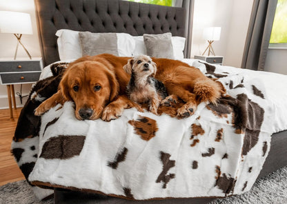 PAW BRANDS Pupprotector Waterproof Throw Blanket, White/Brown, 60X50 | Waterproof, Machine Washable — Protects Couches, Beds & Car Seats12