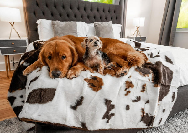 PAW BRANDS Pupprotector Waterproof Throw Blanket, White/Brown, 60X50 | Waterproof, Machine Washable — Protects Couches, Beds & Car Seats12