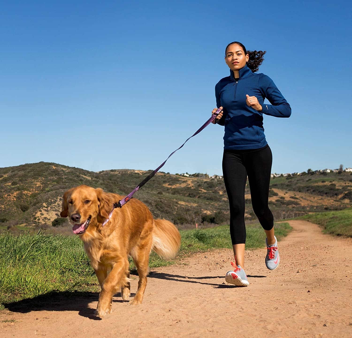 halti-active-leash-award-winning-bungee-dog-leash-shock-absorbing-all-in-one-neoprene-padded-belt-lead-perfect-for-running-training-with-medium-large-dogs-size-large-blue-award-winning-bungee-dog-leash-shock-absorbing-anti-pull-leash-padded-belt-running-training-medium-large-dogs