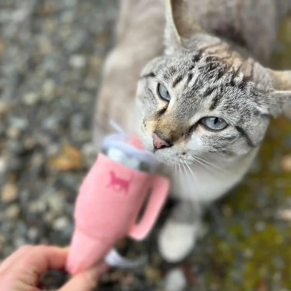PUPROAR Kitty Cup Catnip Cat Toy, Cat Birthday Gift & Cute Girly Accessory, Crinkle Toy for Indoor Cats (Pink Peach Dust)2