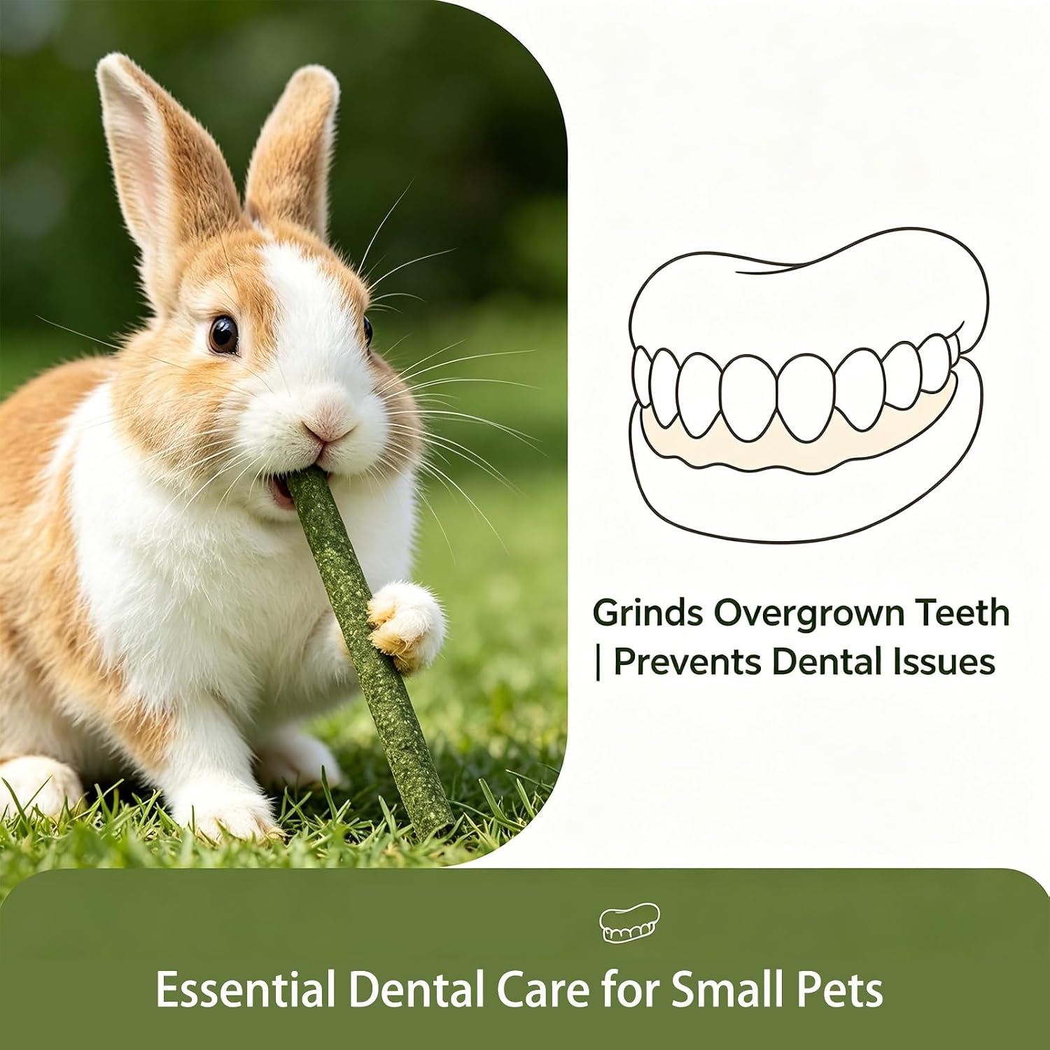 50pcs-natural-timothy-hay-sticks-rabbit-chew-toys-molar-teeth-grinding-sticks-bunny-treats-for-chinchillas-guinea-pigs-hamsters-small-animals