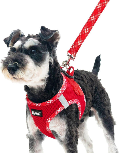 PUPTECK Dog Harness and Leash Set for Small Medium Dogs No Pull Step-In Soft Mesh Puppy Cat Vest Harnesses Reflective at Night, Green S27