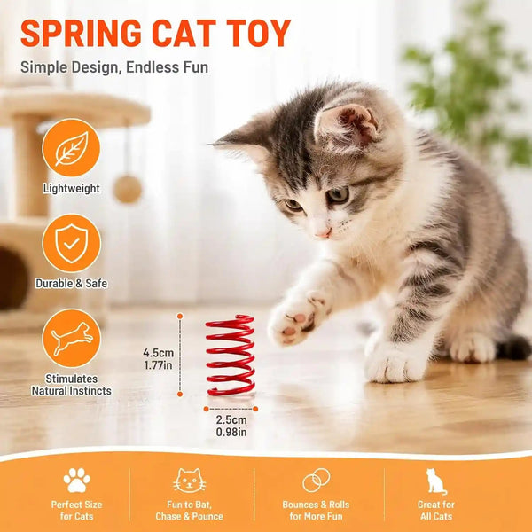 15 Pack Cat Spring Toys, 15 Colors Colorful Interactive Coil Springs for Kittens, Durable Plastic Spiral Springs for Indoor Cats, Ideal for Swatting Biting Hunting & Exercise2
