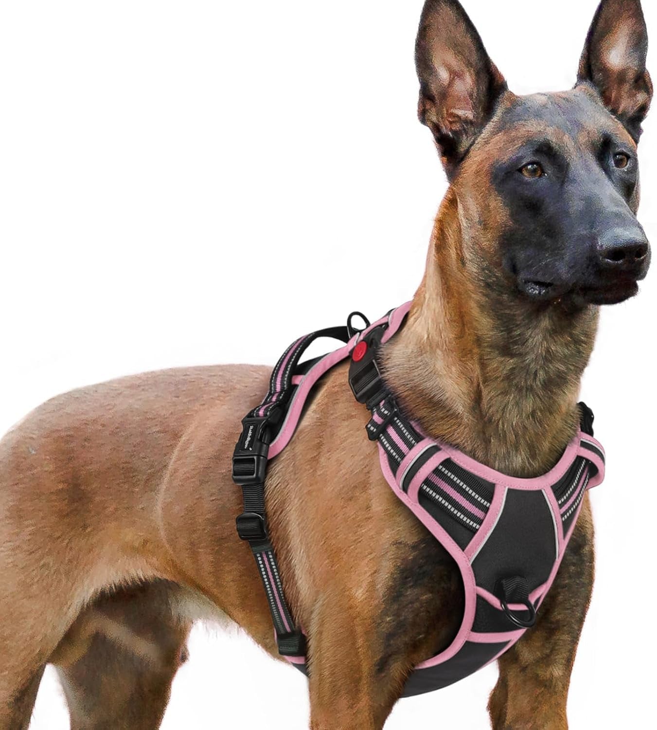 rabbitgoo-dog-harness-medium-sized-updated-easy-on-off-with-3-buckles-no-pull-no-choke-walking-with-2-clips-and-handle-adjustable-soft-reflective-blue-medium