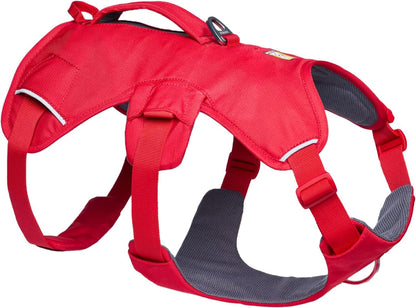 Ruffwear, Web Master, Multi-Use Support Dog Harness, Hiking and Trail Running, Service and Working, Everyday Wear, Basalt Gray, X-Small13