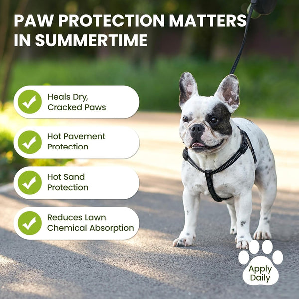 Pawsono Lick-Safe Dog Paw & Nose Balm with Coconut Oil | All-Natural Dog Paw Protector against Hot Pavement & Sand, Great for Dogs Who Hate Dog Booties or Shoes (2.1 Oz / 60 G)7