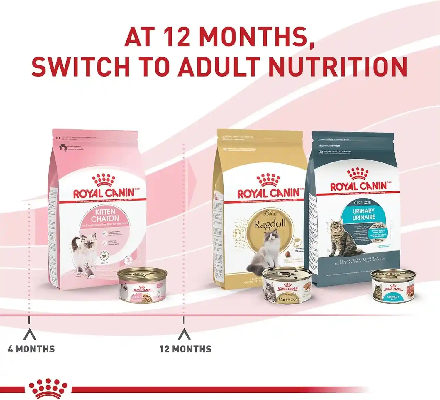 royal-canin-feline-health-nutrition-kitten-thin-slices-in-gravy-cat-food-3-oz-pack-of-12-for-growing-kittens-tender-thin-slices-savory-gravy-formula-twelve-individual-3-oz-cans
