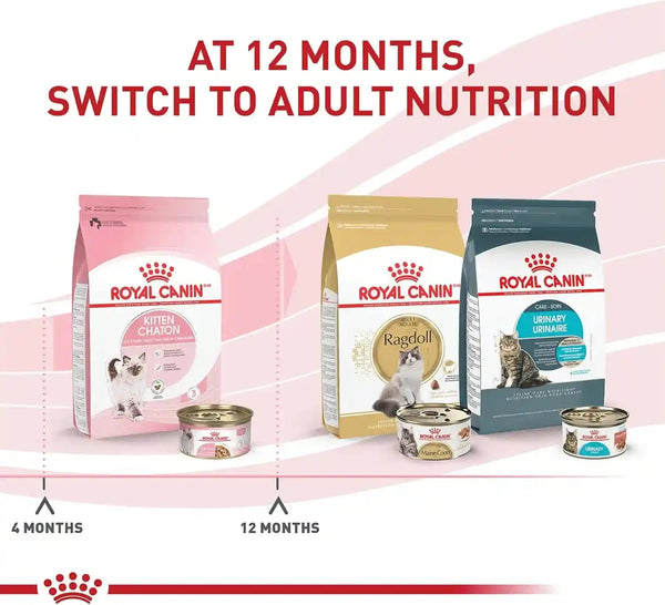 ROYAL CANIN Feline Health Nutrition Kitten Thin Slices in Gravy Cat Food, 3 Oz (Pack of 12) | for Growing Kittens, Tender Thin Slices, Savory Gravy Formula, Twelve Individual 3 Oz Cans6