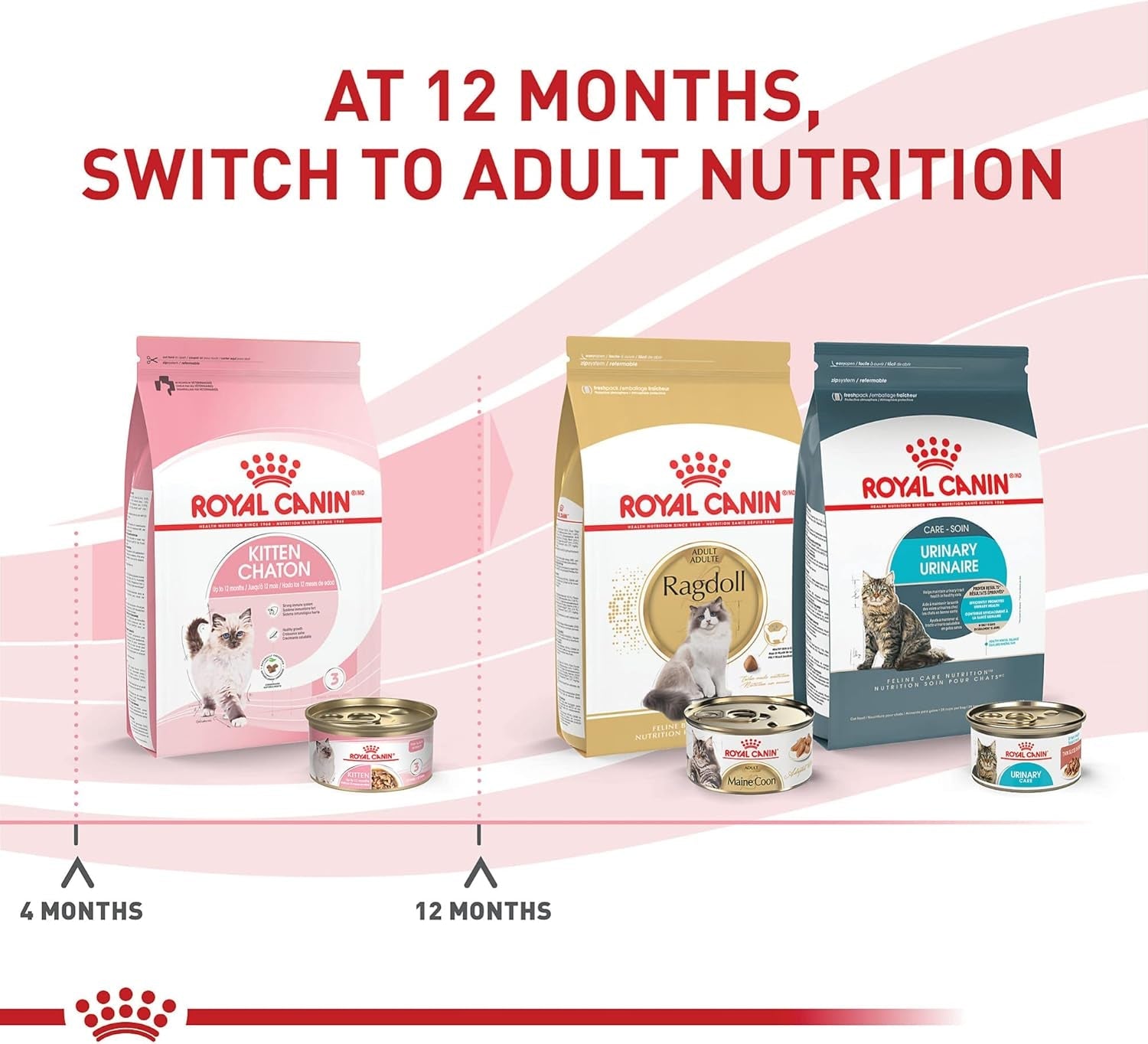 royal-canin-feline-health-nutrition-kitten-thin-slices-in-gravy-cat-food-3-oz-pack-of-12-for-growing-kittens-tender-thin-slices-savory-gravy-formula-twelve-individual-3-oz-cans