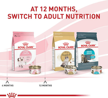 ROYAL CANIN Feline Health Nutrition Kitten Thin Slices in Gravy Cat Food, 3 Oz (Pack of 12) | for Growing Kittens, Tender Thin Slices, Savory Gravy Formula, Twelve Individual 3 Oz Cans6