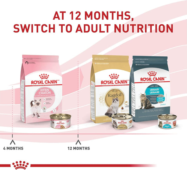 ROYAL CANIN Feline Health Nutrition Kitten Thin Slices in Gravy Cat Food, 3 Oz (Pack of 12) | for Growing Kittens, Tender Thin Slices, Savory Gravy Formula, Twelve Individual 3 Oz Cans6