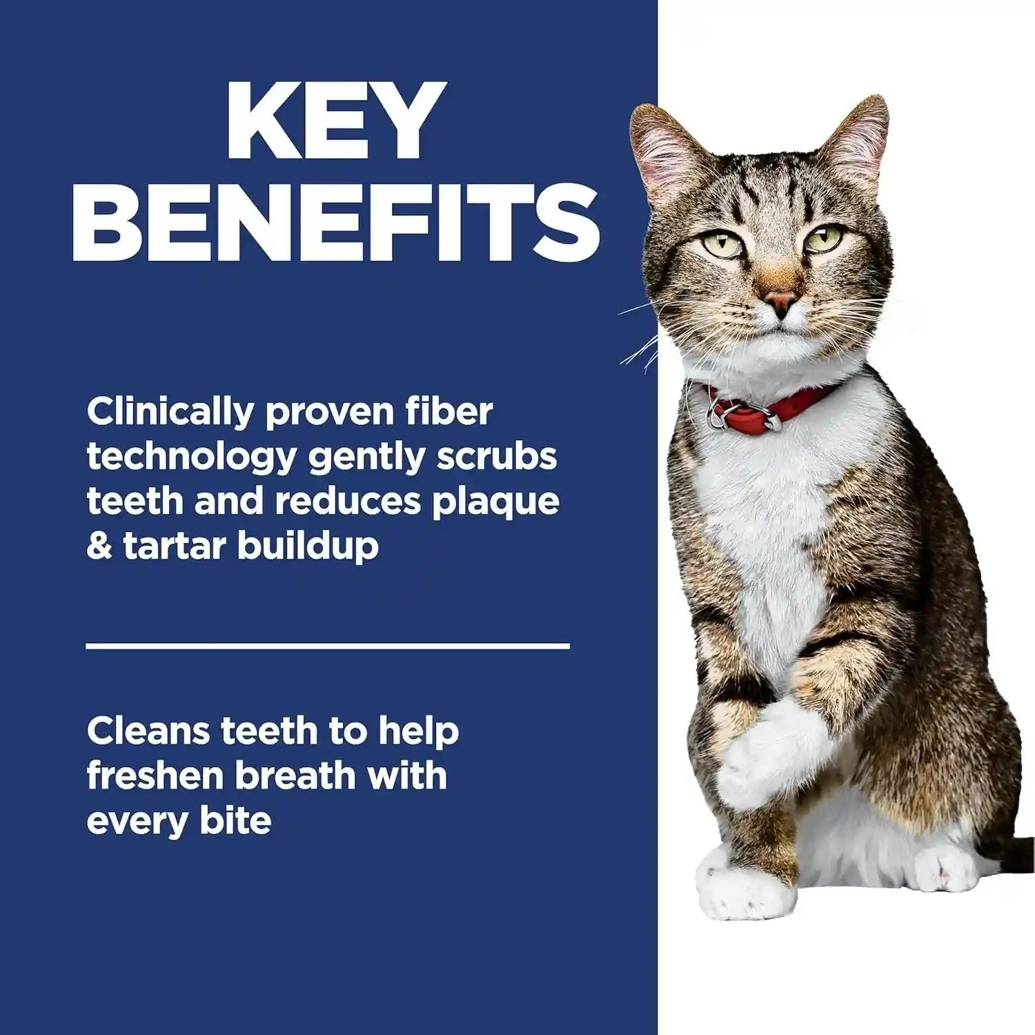 hills-science-diet-adult-oral-care-dry-cat-food-1-veterinarian-recommended-chicken-recipe-7-lb-bag
