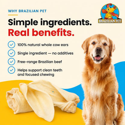 Brazilian Pet 100% Natural Real Cow Ears (50 Pack) Prime Dog Chews, over 5 Inches Free Range Grass Fed Cattle, No Additives, Chemicals or Hormones3