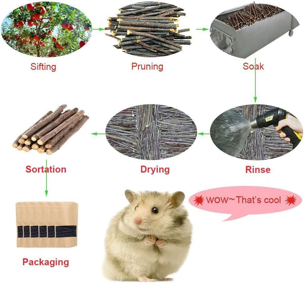 Sharllen 100G (3.5Oz) Apple Sticks Pet Snacks Chew Toys for Guinea Pigs Chinchilla Squirrel Rabbits Hamster7