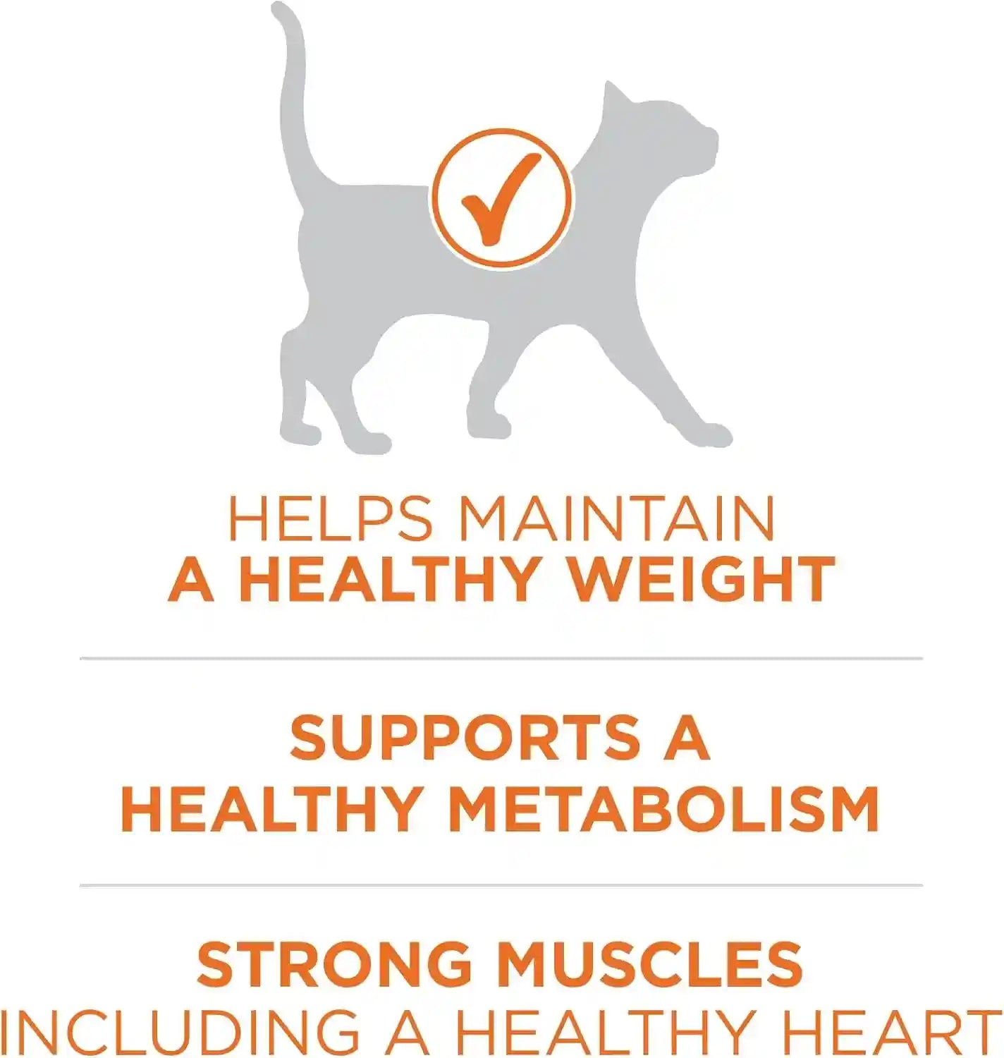 purina-one-high-protein-healthy-plus-ideal-with-chicken-dry-cat-food-control-formula-7-lb-bag
